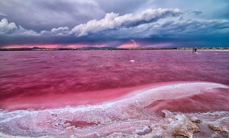 New Build - Bungalow - Torrevieja - Altos del Sol