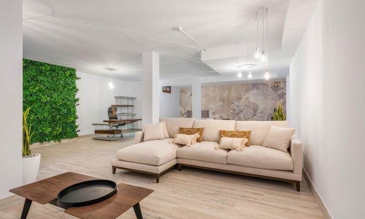 New Build - Villa - Vera - Vera playa