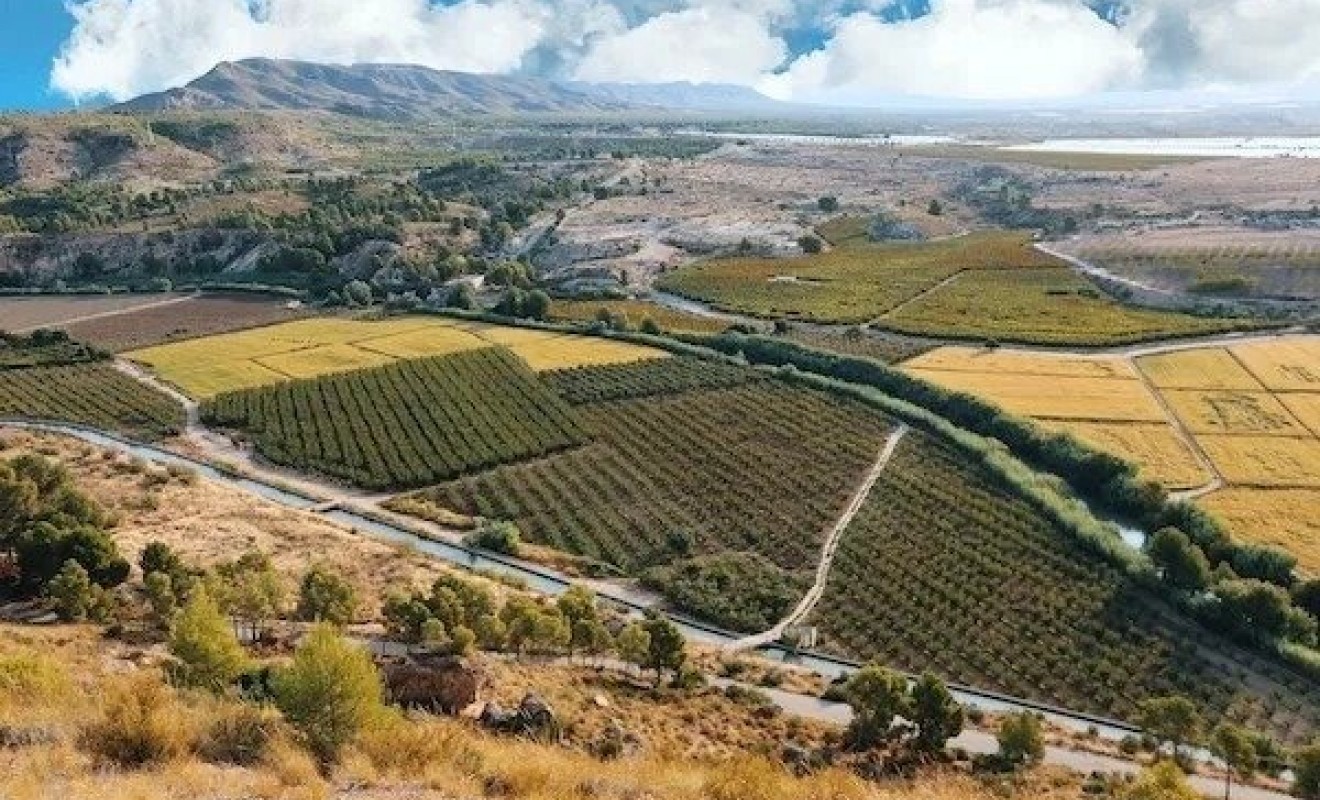 Nieuwbouw woningen - Villa - Calasparra - Coto riñales