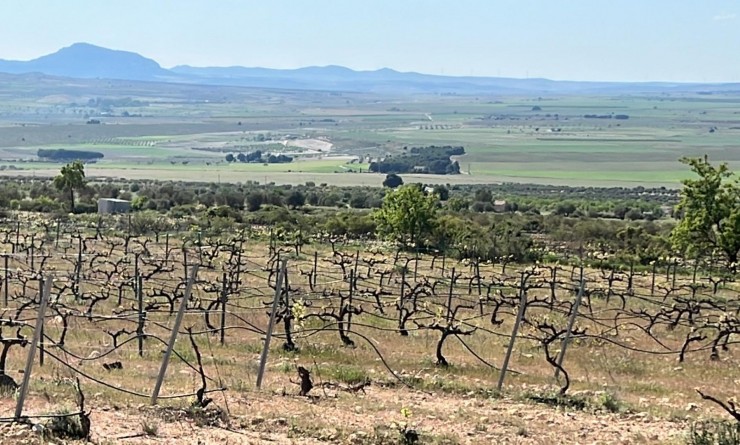 Nouvelle construction - Villa - Yecla