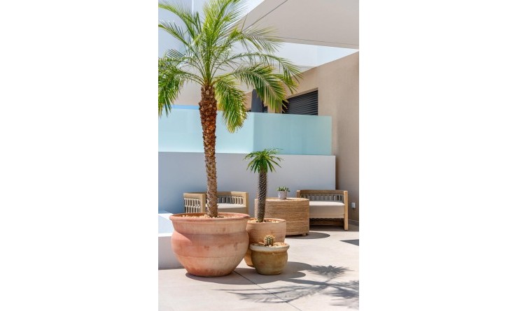 Nieuwbouw woningen - Town House - Dolores - Sector 3