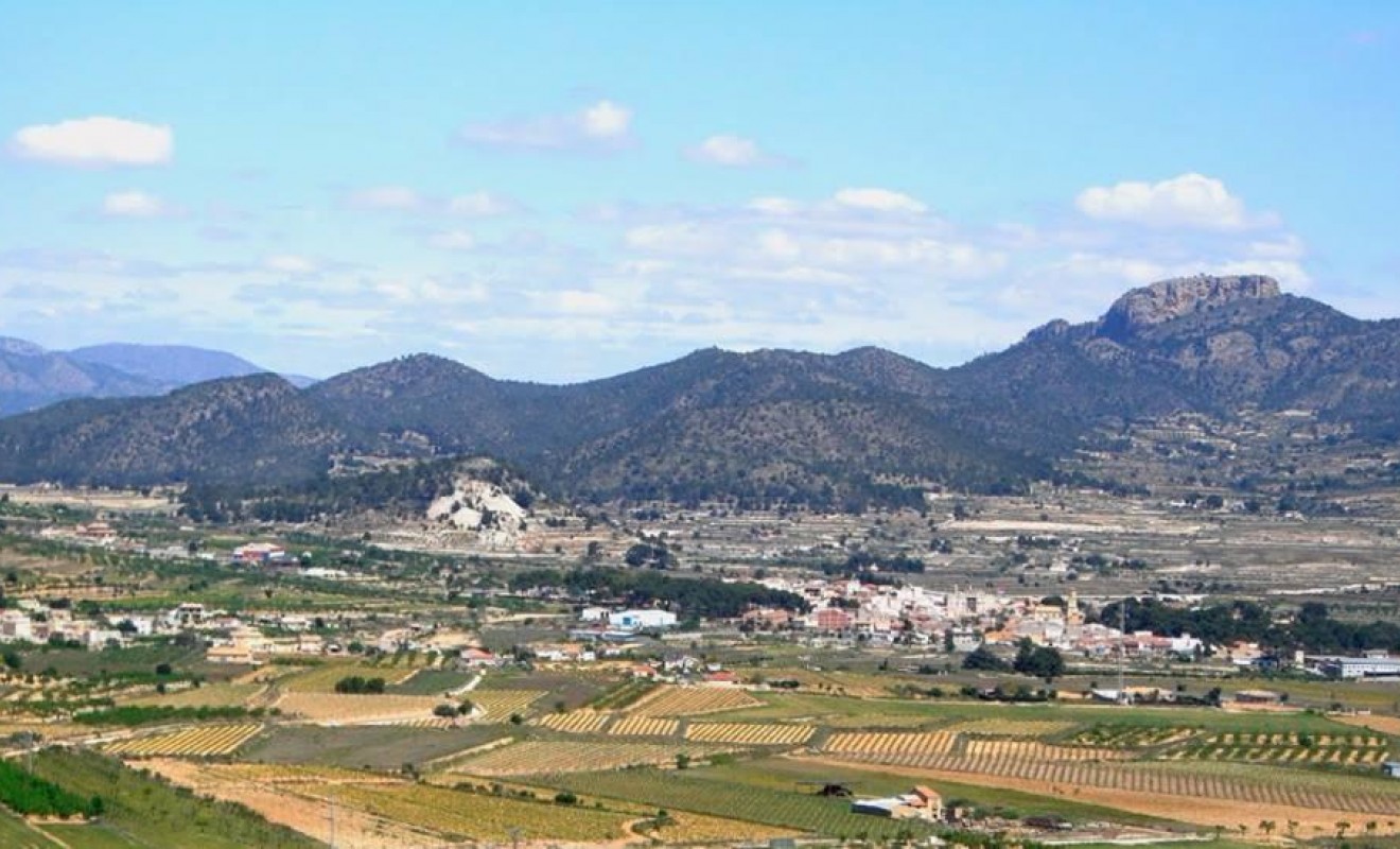 Nieuwbouw woningen - Villa - La Romana - Batistes