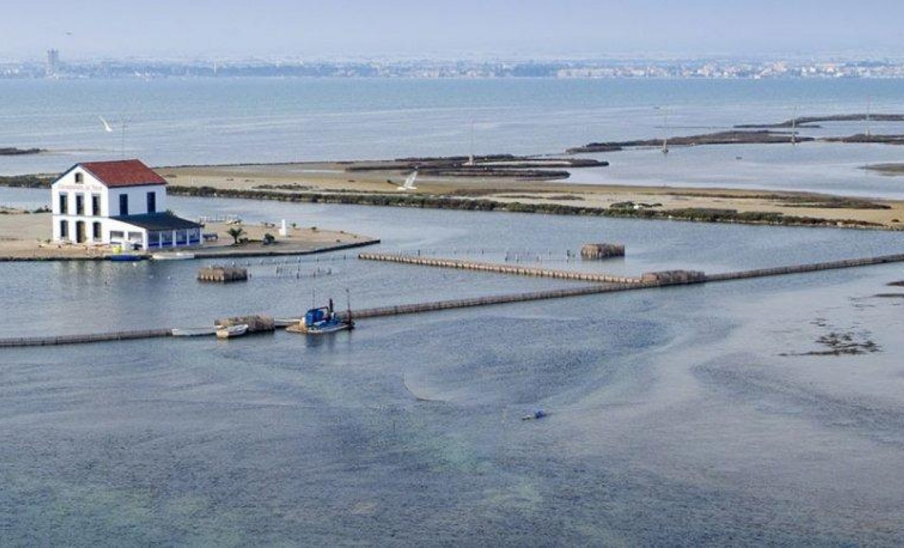 Nieuwbouw woningen - Villa - San Pedro del Pinatar - Las esperanzas