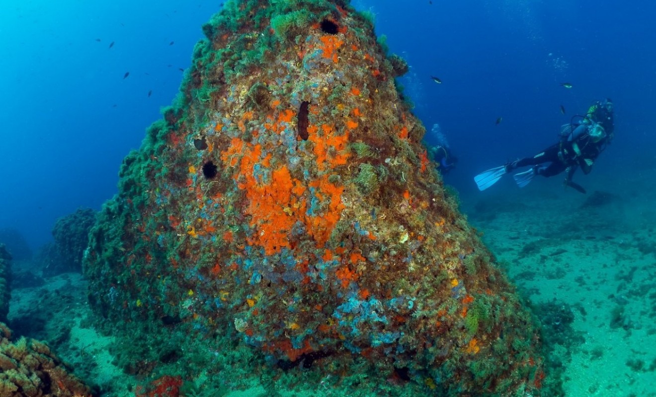 New Build - Apartment - Águilas - Isla del fraile