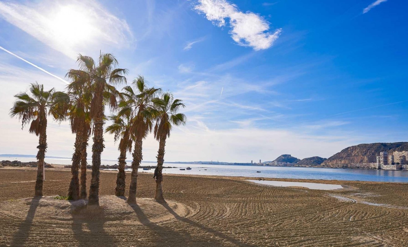 Nieuwbouw woningen - Villa - Els Poblets - Partida Barranquets