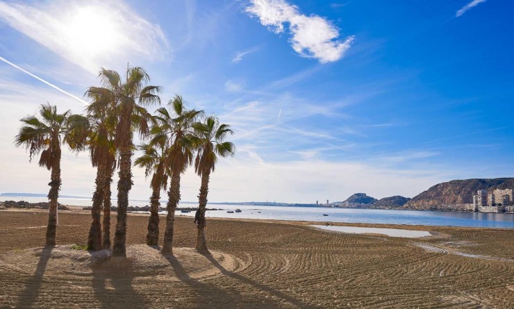 Nieuwbouw woningen - Villa - Els Poblets - Partida Barranquets