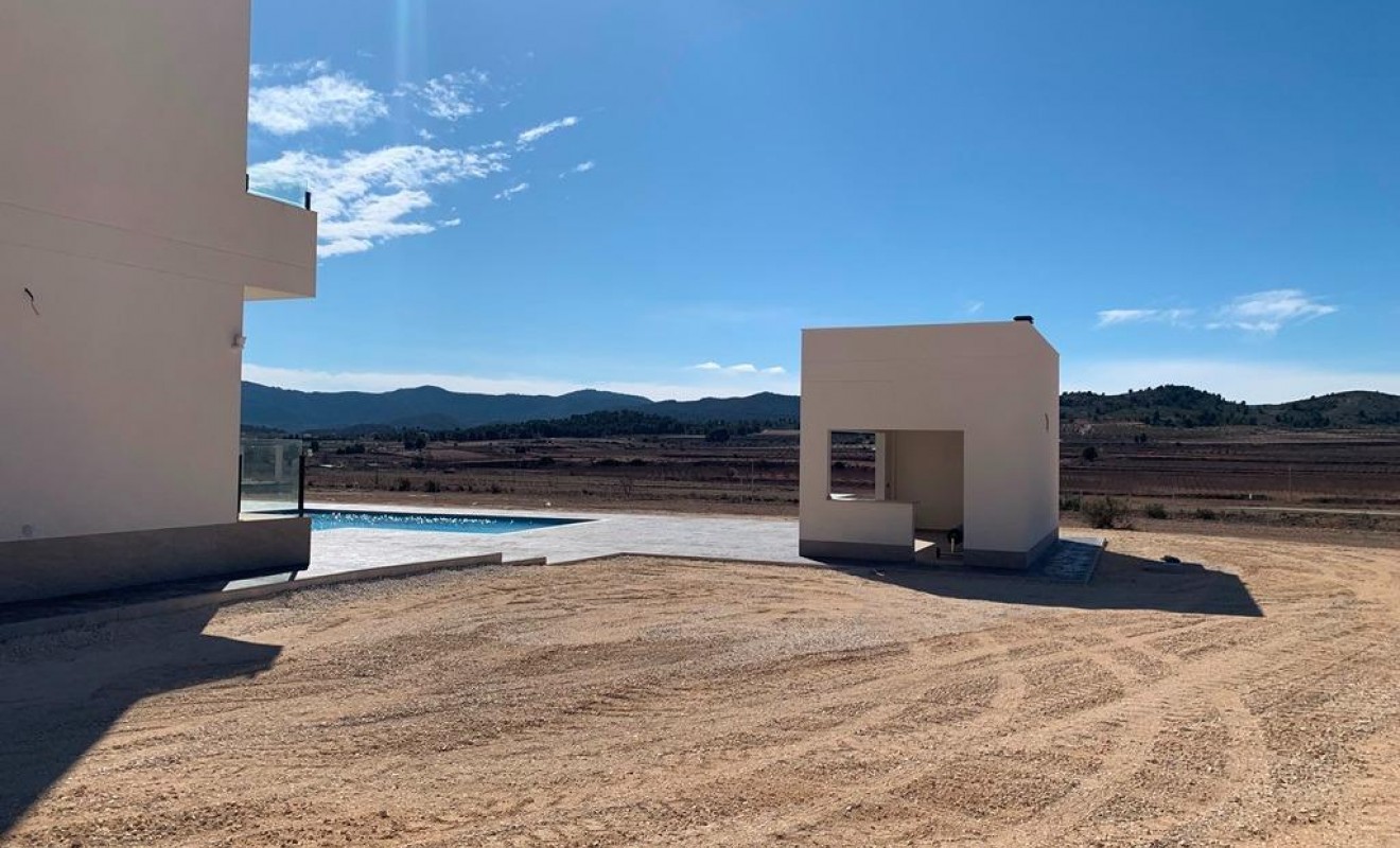 Nieuwbouw woningen - Villa - Pinoso - Camino Del Prado