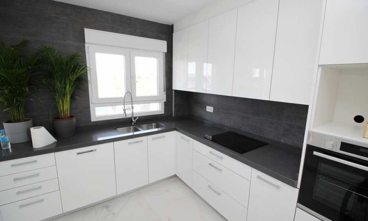 Nieuwbouw woningen - Villa - Pinoso - Camino Del Prado