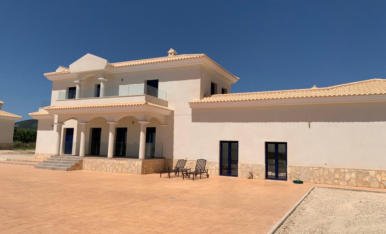 Nieuwbouw woningen - Villa - Pinoso - Camino Del Prado
