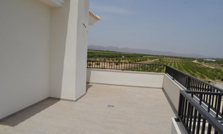 Nieuwbouw woningen - Villa - Pinoso - Camino Del Prado