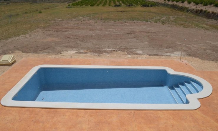 Nieuwbouw woningen - Villa - Pinoso - Camino Del Prado