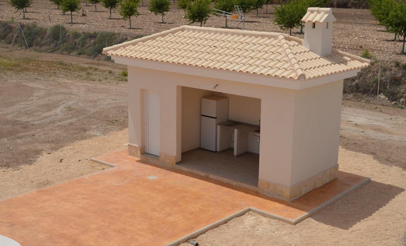 Nieuwbouw woningen - Villa - Pinoso - Camino Del Prado