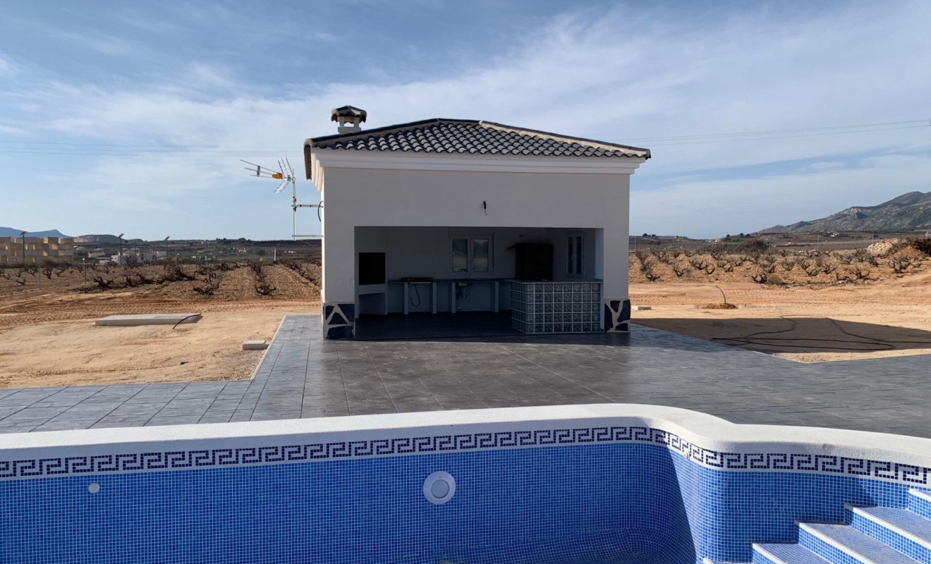 Nieuwbouw woningen - Villa - Pinoso - Camino Del Prado