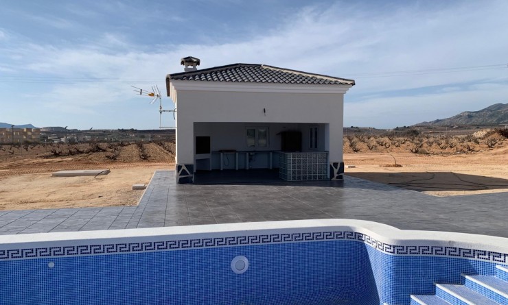 Nieuwbouw woningen - Villa - Pinoso - Camino Del Prado