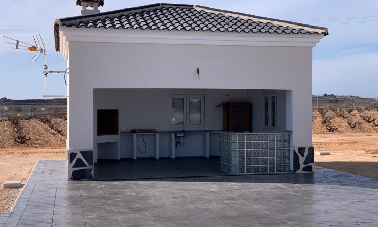 Nieuwbouw woningen - Villa - Pinoso - Camino Del Prado