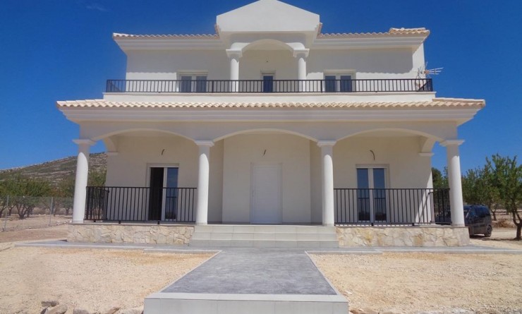 Nieuwbouw woningen - Villa - Pinoso - Camino Del Prado