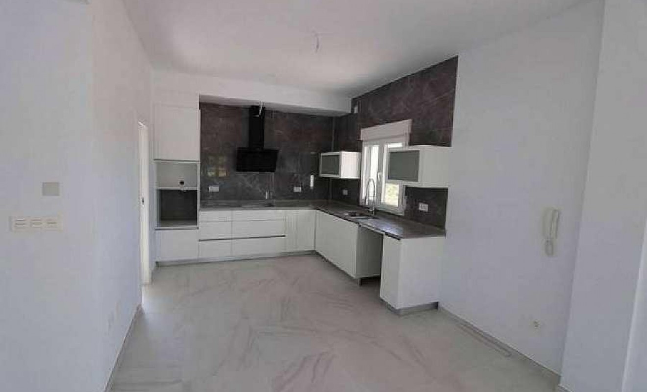 Nieuwbouw woningen - Villa - Pinoso - Camino Del Prado