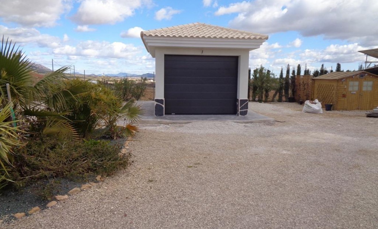 Nieuwbouw woningen - Villa - Pinoso - Camino Del Prado