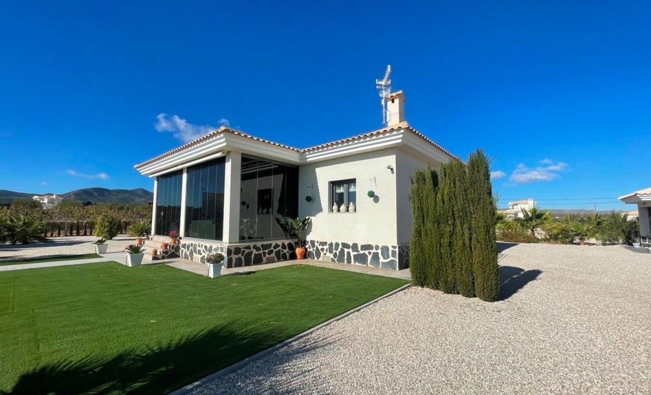 Nieuwbouw woningen - Villa - Pinoso - Camino Del Prado