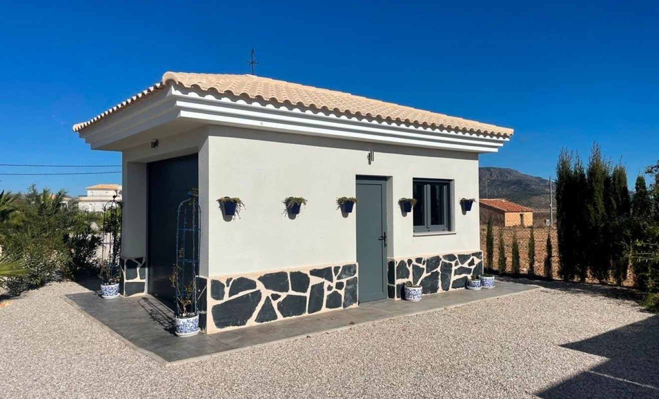 Nieuwbouw woningen - Villa - Pinoso - Camino Del Prado