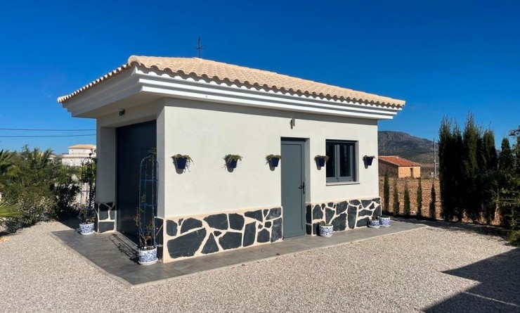 Nieuwbouw woningen - Villa - Pinoso - Camino Del Prado