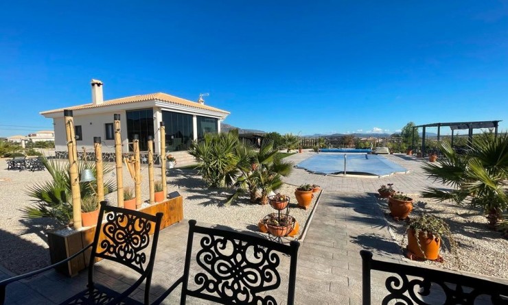 Nieuwbouw woningen - Villa - Pinoso - Camino Del Prado