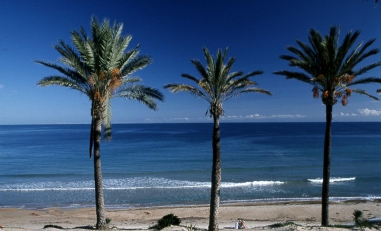 Nieuwbouw woningen - Bungalow - Pilar de la Horadada - Parque Ramon eugenio Escudero