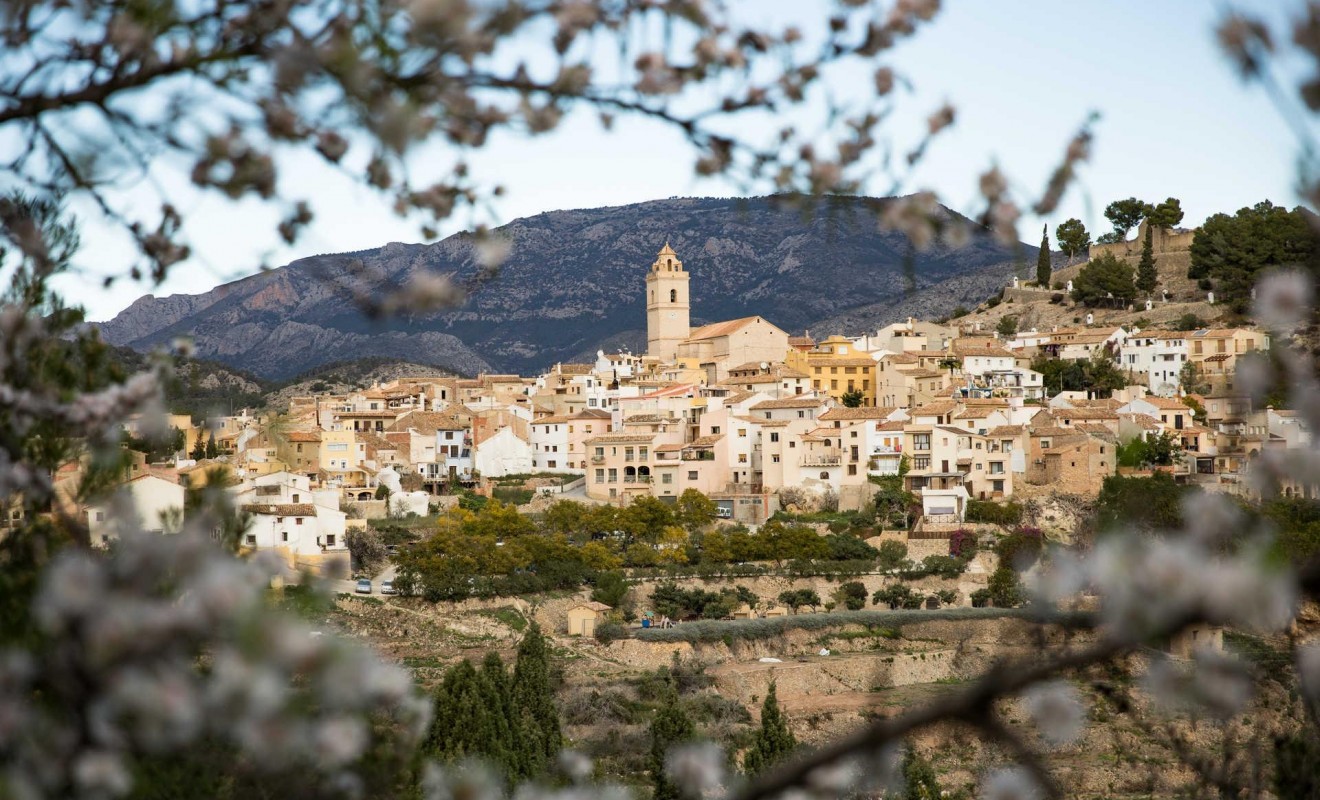 Nieuwbouw woningen - Villa - Polop - Polop Hills