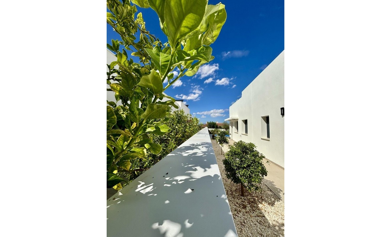 Nieuwbouw woningen - Villa - Benijofar - Pueblo