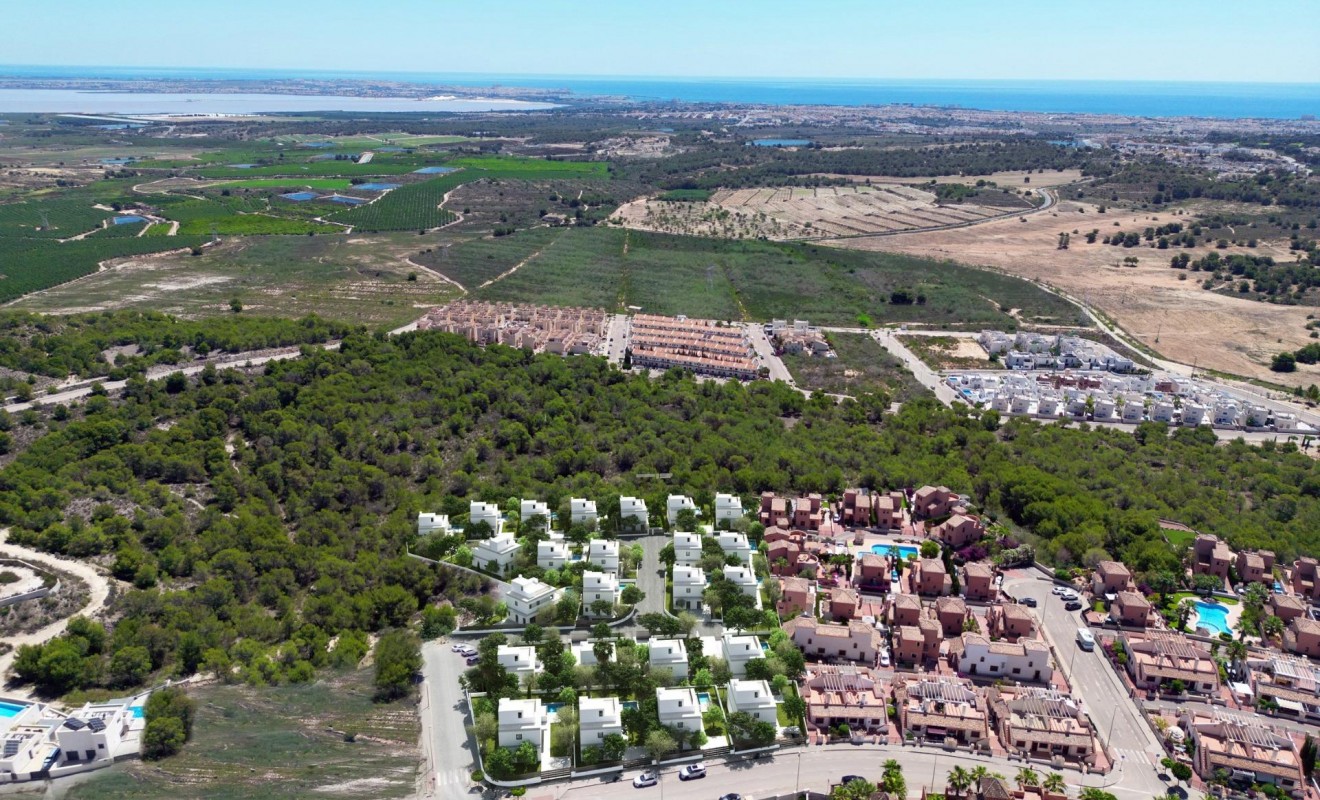 Nieuwbouw woningen - Villa - San Miguel de Salinas - Cerro del Sol