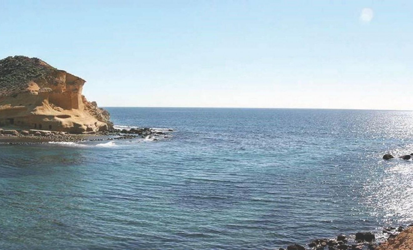 Nouvelle construction - Villa - San Juan de los Terreros