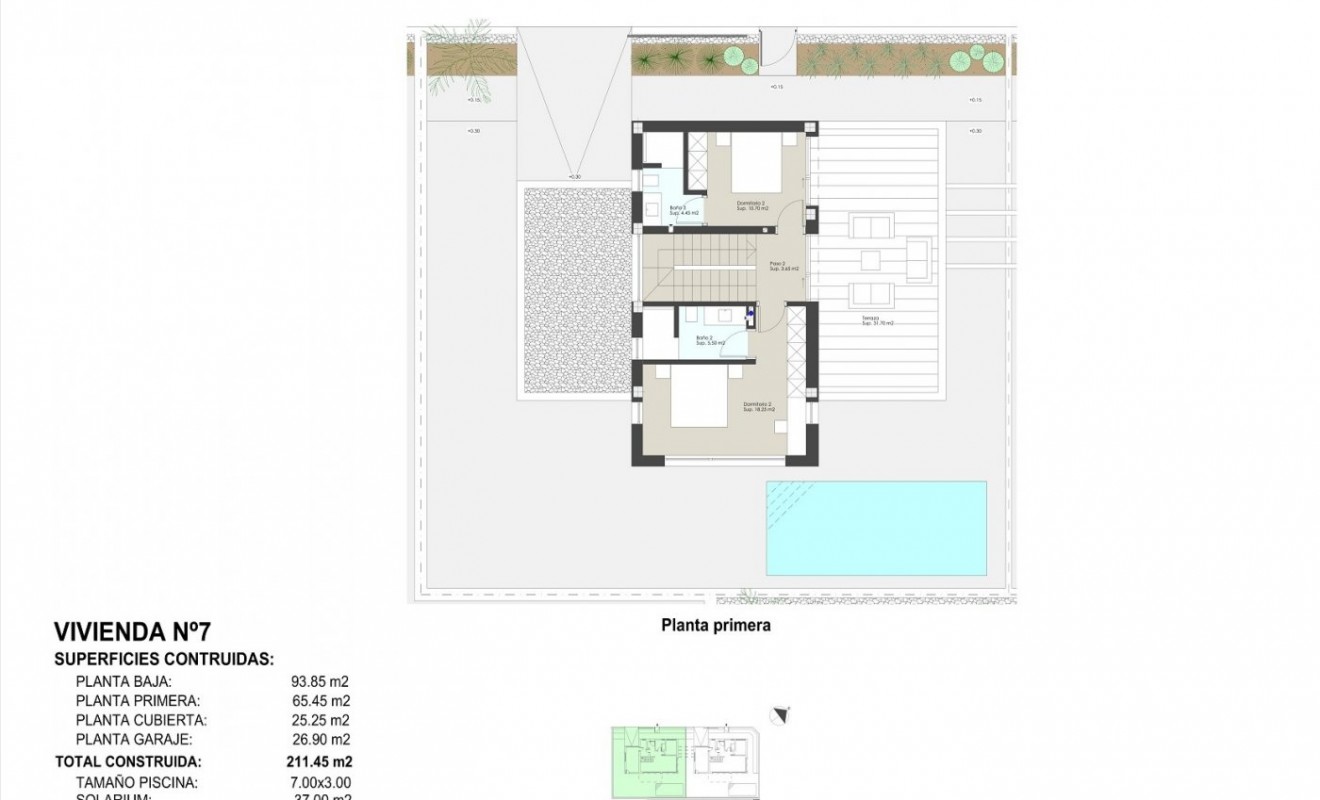 Nouvelle construction - Villa - Pilar de la Horadada - Las Higuericas