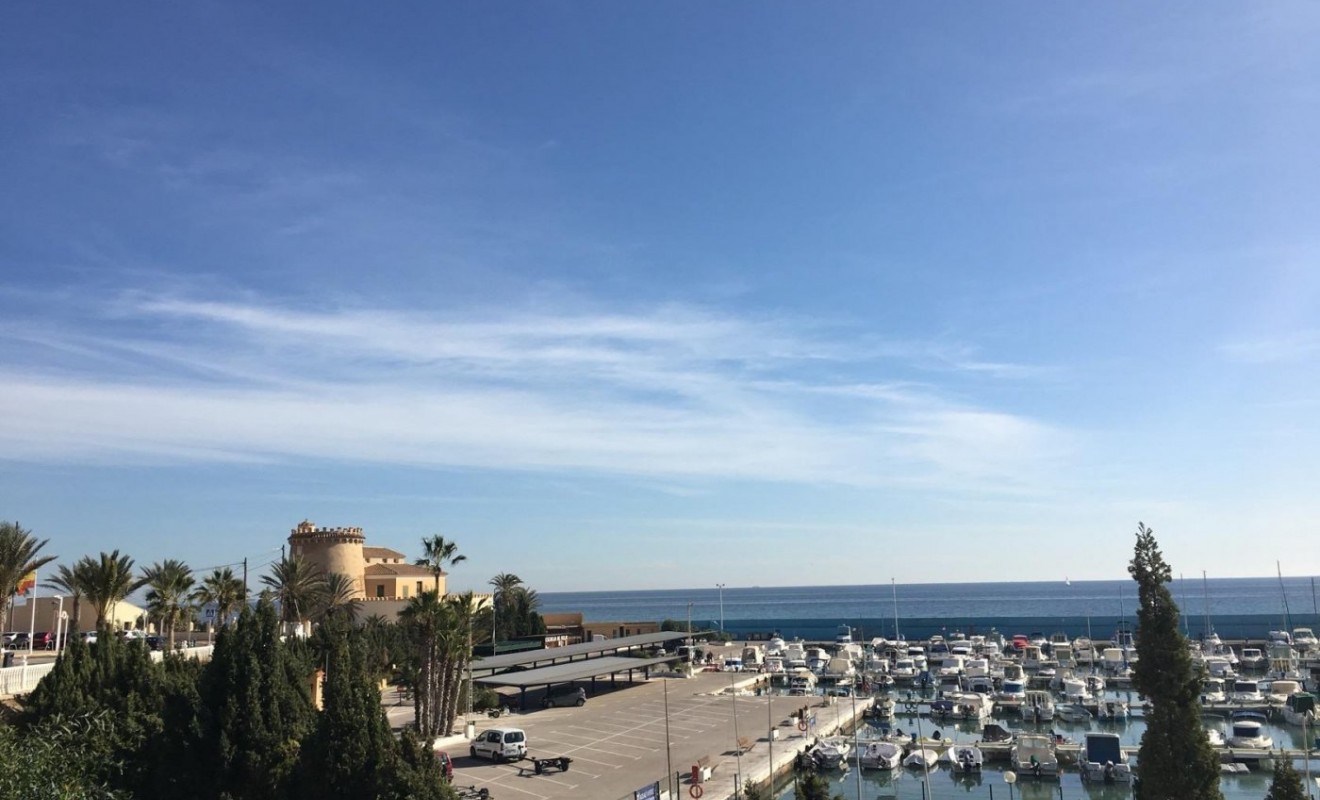 Nouvelle construction - Villa - Pilar de la Horadada - Las Higuericas