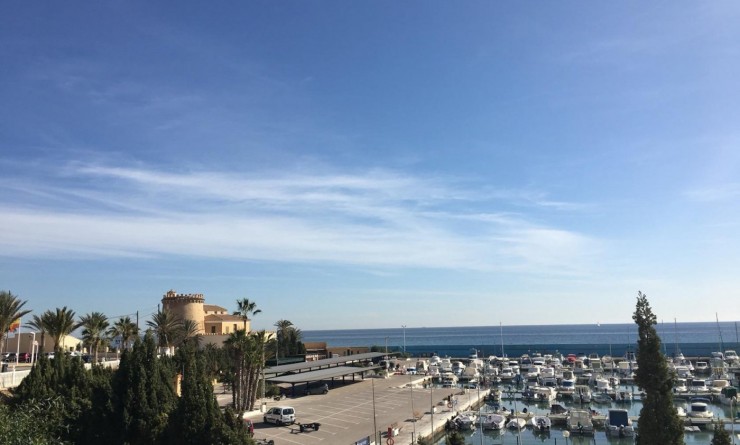 Nouvelle construction - Villa - Pilar de la Horadada - Las Higuericas