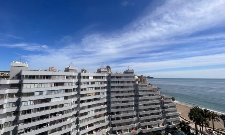 Nieuwbouw woningen - Penthouse - Calpe - Playa La Fossa