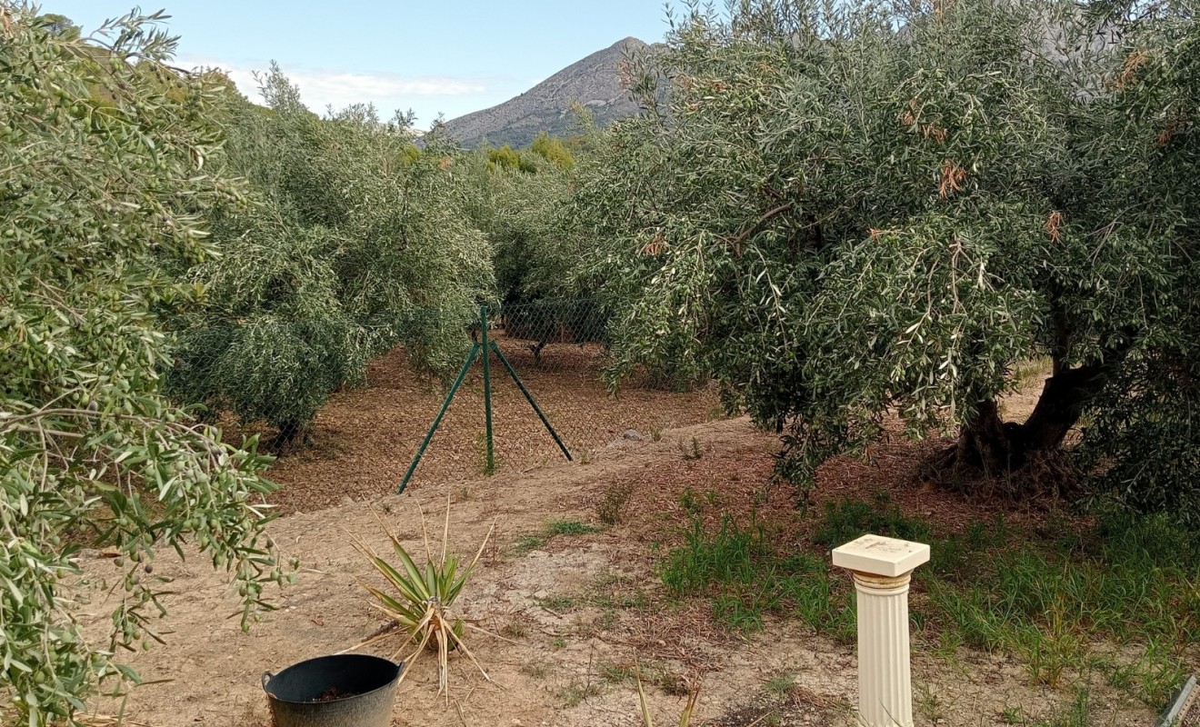 Sale - Plot / Land - La Nucía