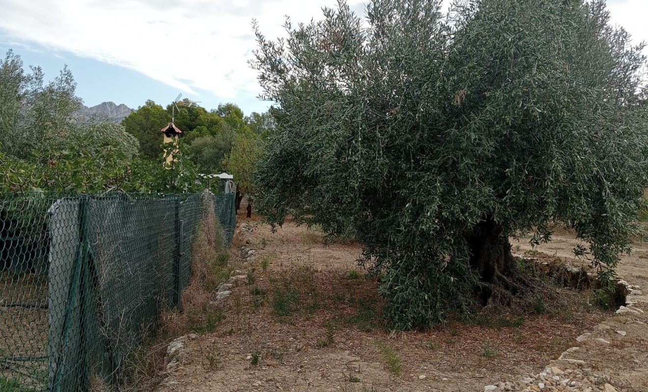 Sale - Plot / Land - La Nucía