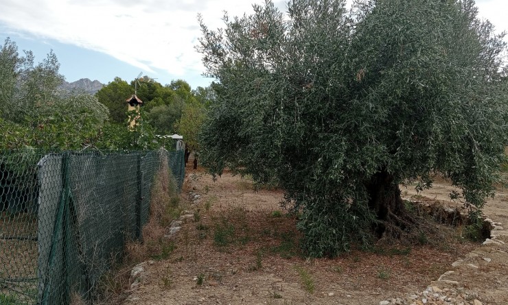 Sale - Plot / Land - La Nucía