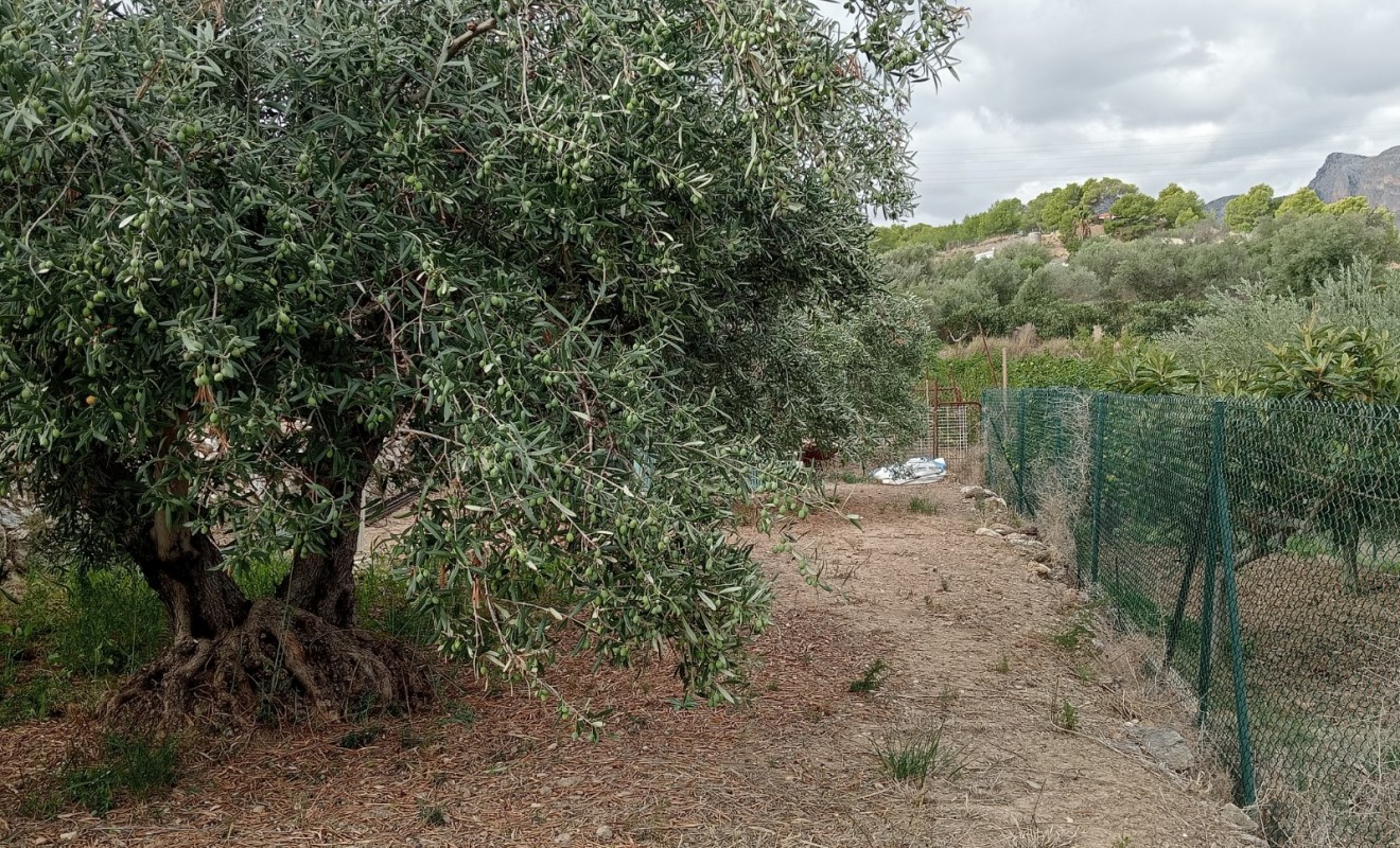 Sale - Plot / Land - La Nucía