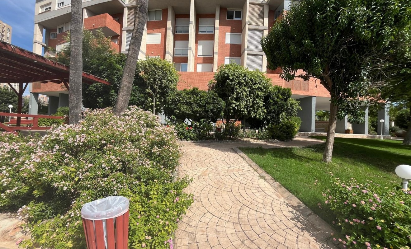 Sale - Apartment / flat - Benidorm - Centro