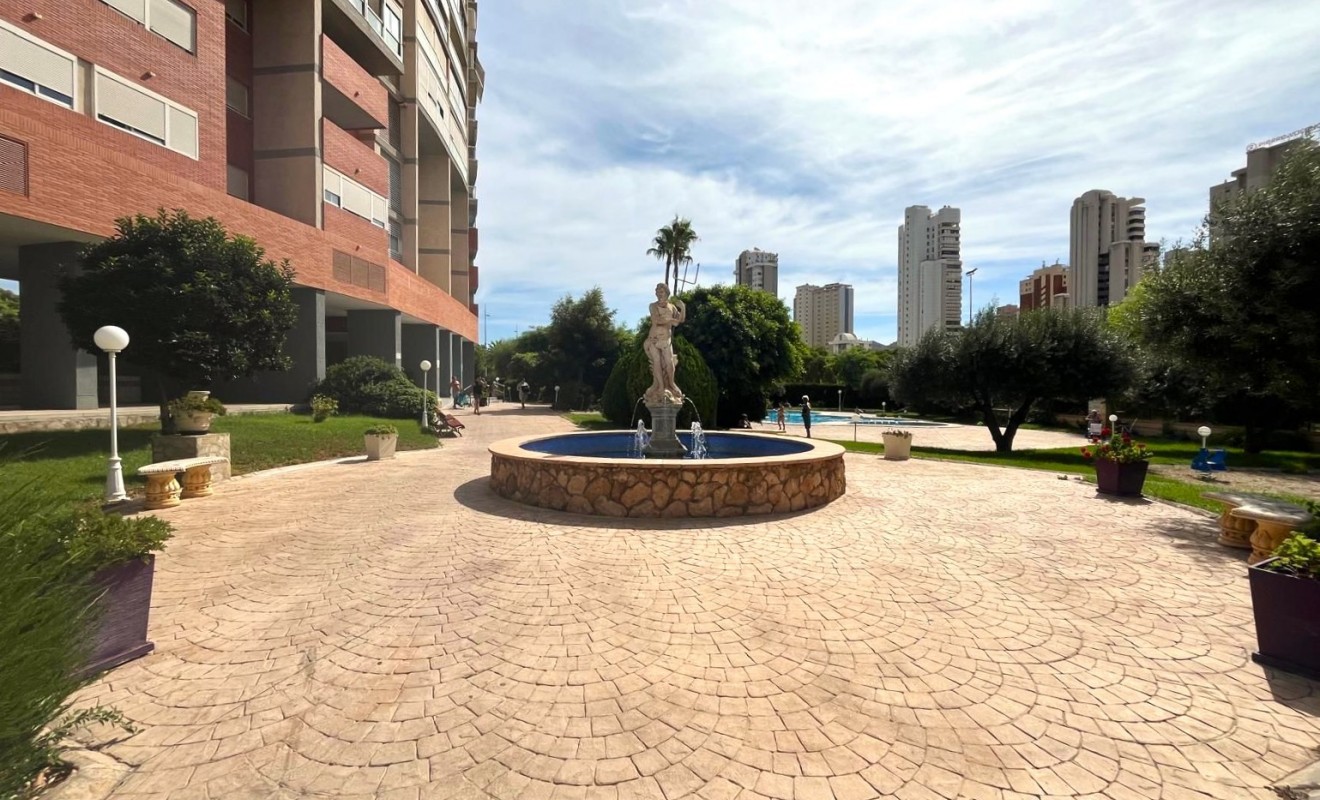 Sale - Apartment / flat - Benidorm - Centro