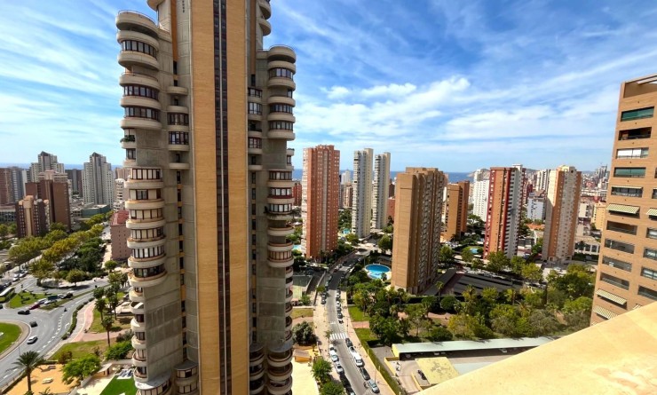 Sale - Apartment / flat - Benidorm - Centro