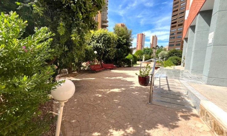 Sale - Apartment / flat - Benidorm - Centro
