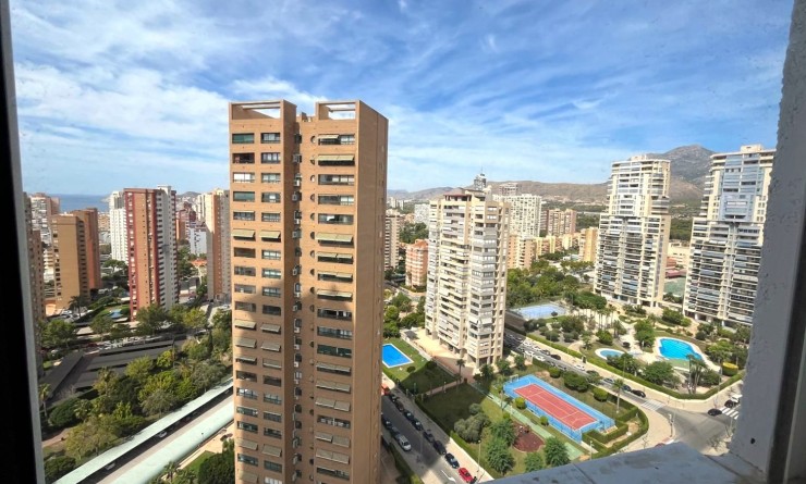 Sale - Apartment / flat - Benidorm - Centro