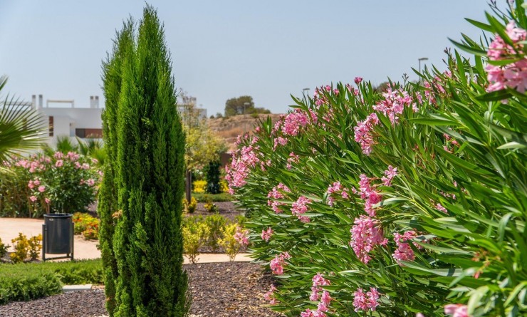 New Build - Top Floor Bungalow - Orihuela - Vistabella Golf