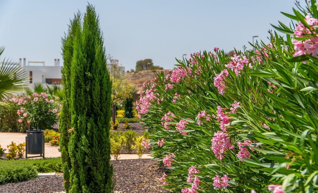 Nieuwbouw woningen - Ground Floor Bungalow - Orihuela - Vistabella Golf