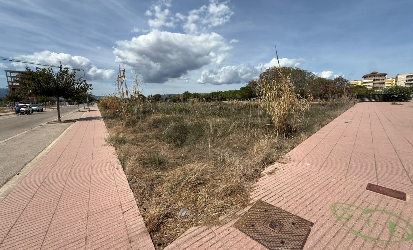 Sale - urban plot - Piles - Playa