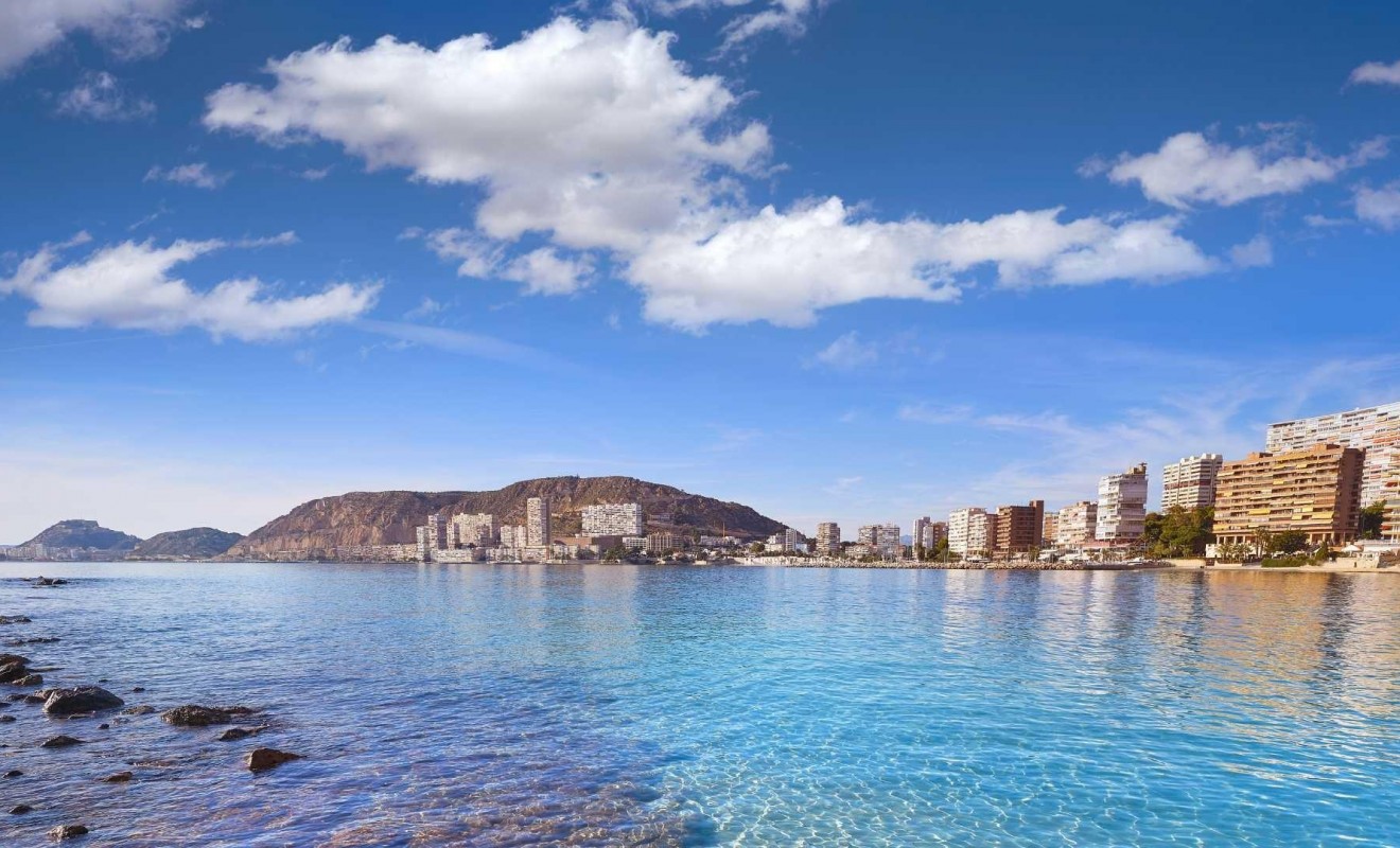 Nieuwbouw woningen - Villa - Els Poblets - Partida Barranquets