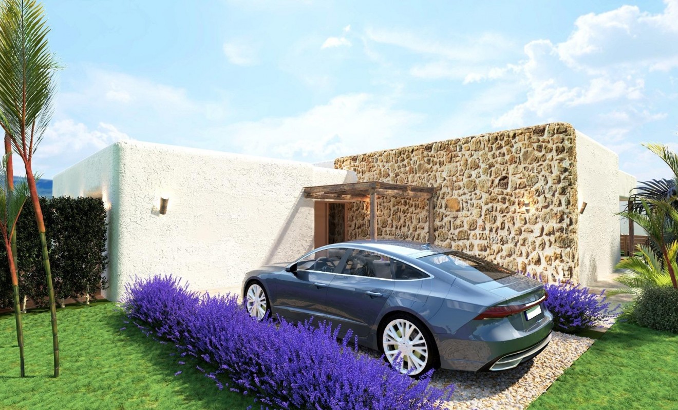 Nieuwbouw woningen - Villa - Pinoso - Rodriguillo