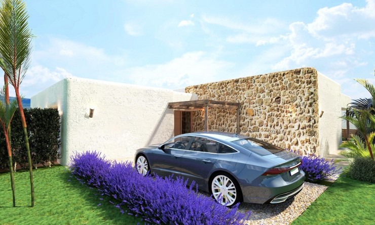 Nieuwbouw woningen - Villa - Pinoso - Rodriguillo